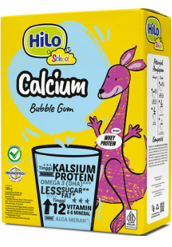 Cover HiLo School Bubble Gum